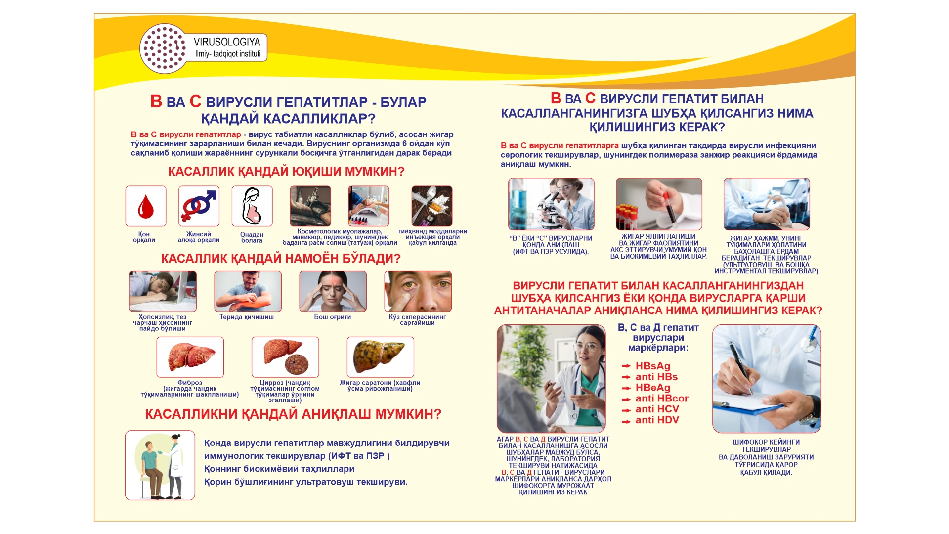ВИРУСНЫЕ ГЕПАТИТЫ В И С – ЧТО ЭТО ЗАБОЛЕВАНИЯ?